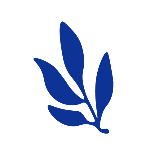 Plante bleue