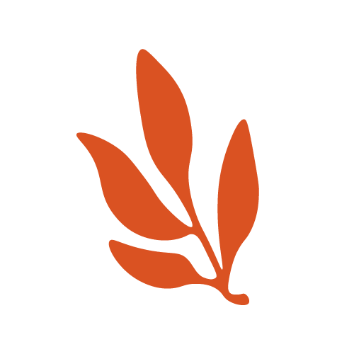 Plante orange